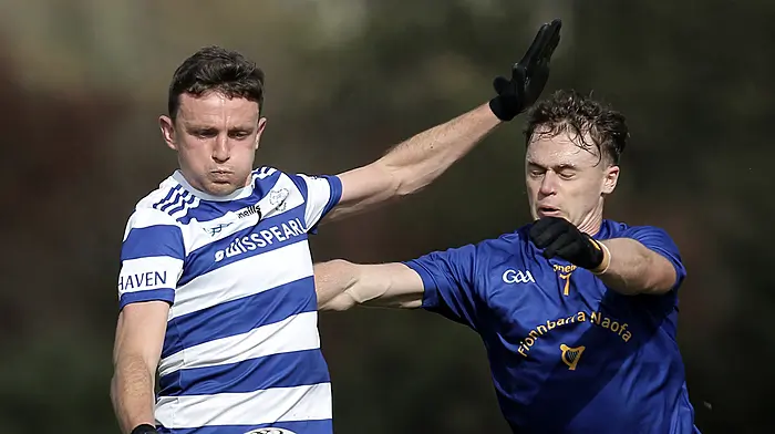 Castlehaven’s title disappears in avalanche of goals Image