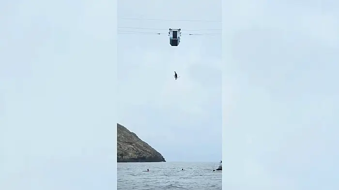 Dursey cable car hosts daring Red Bull dive – exposure could give island wings Image