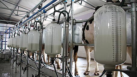 Drop in milk price for month of August Image