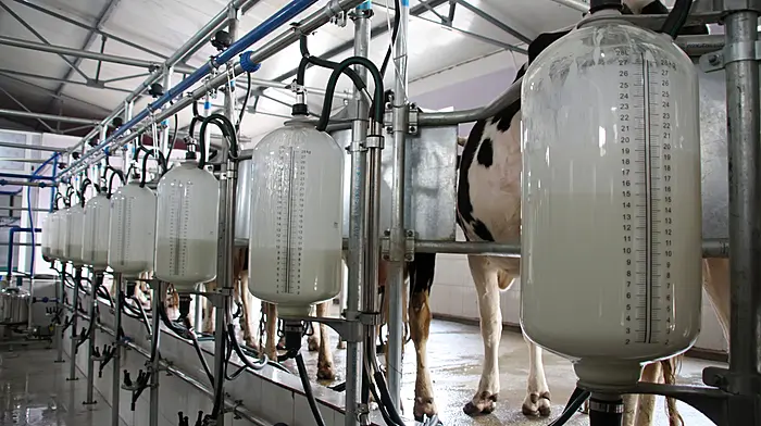 Drop in milk price for month of August Image