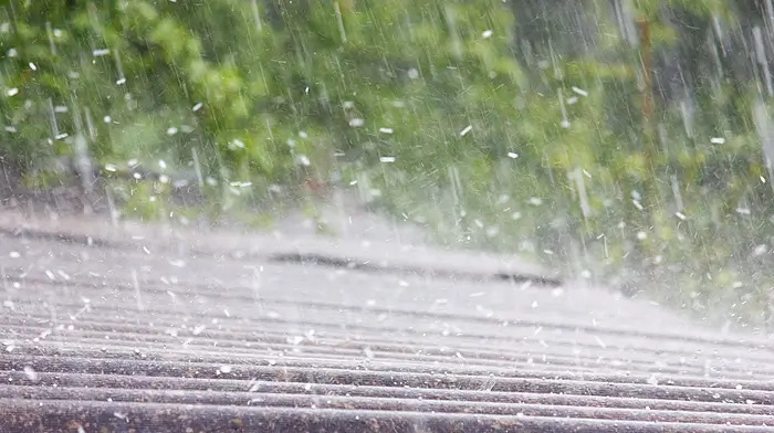 Storm Amy sparks urgent safety advice for Irish homes and businesses Image