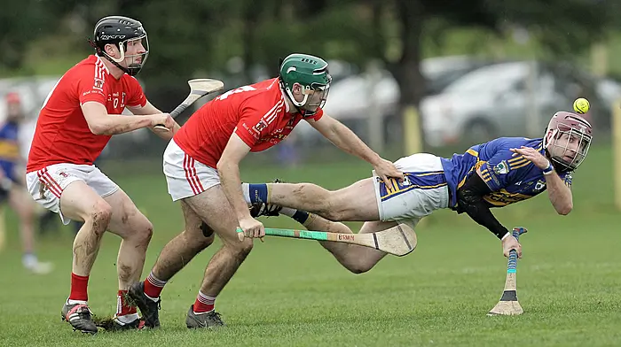 Super Sunday of hurling as semi-finals take centre stage Image