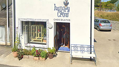 Hungry Crow is seeking a nest Image