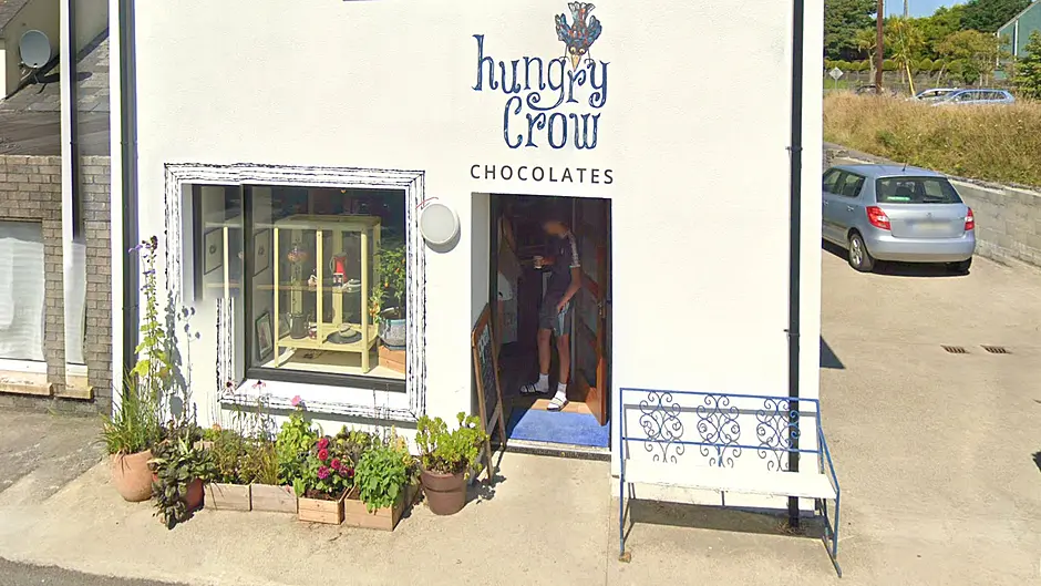 Hungry Crow is seeking a nest Image