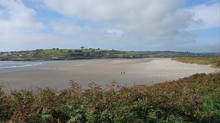 Local beaches to receive funding to improve access Image