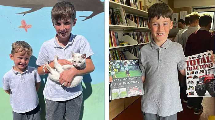 A busy month at Dromore National School Image