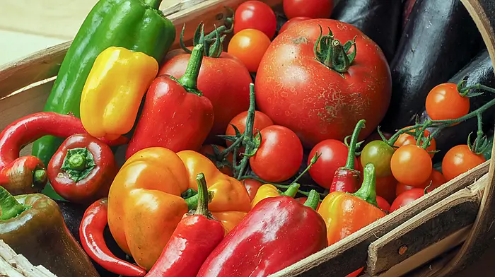 GARDENING: Time to harvest last of fruit & veg Image