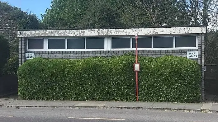 Council confirms Ballineen toilet plans Image