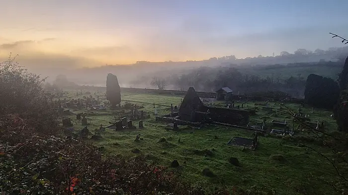 Reader’s Picture of the Week Image