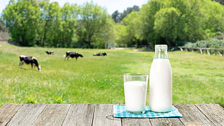 Fears cheaper milk prices will hurt the farmer Image