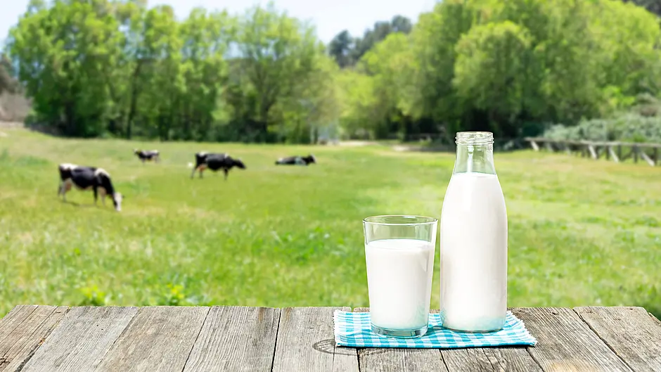 Fears cheaper milk prices will hurt the farmer Image