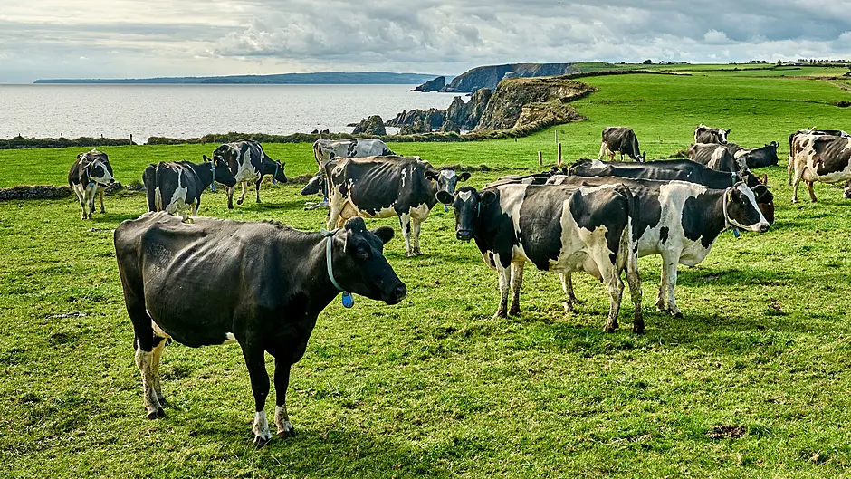 New project to tackle TB Image