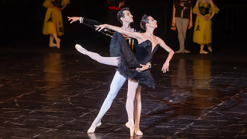 New take on Swan Lake Image
