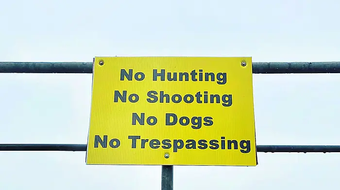 Hunting horror: lands preserved Image