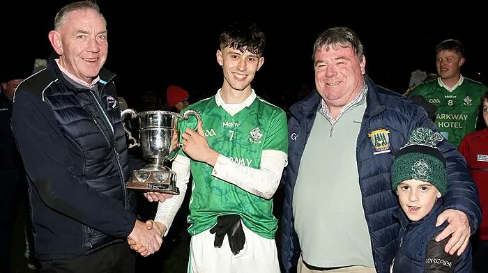 Dohenys crowned Carbery junior B football champions Image