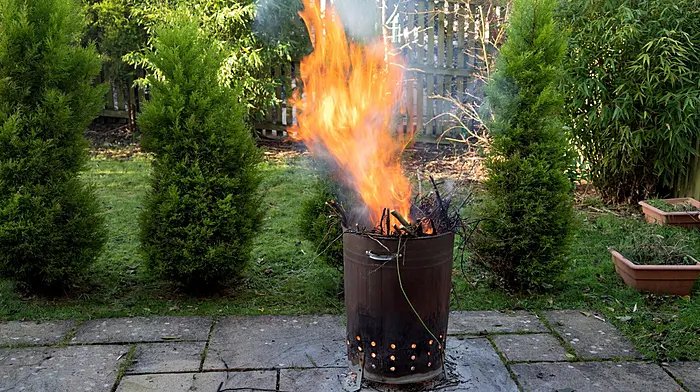 Know Your Rights: Burning waste and vegetation Image
