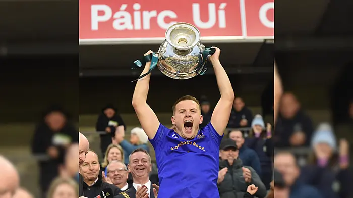 JOHN HAYES: The Barrs sit on the Cork throne Image