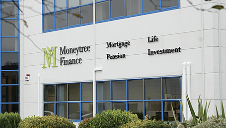 Rooted in Growth: Moneytree Finance Move to New Office in Clonakilty Image