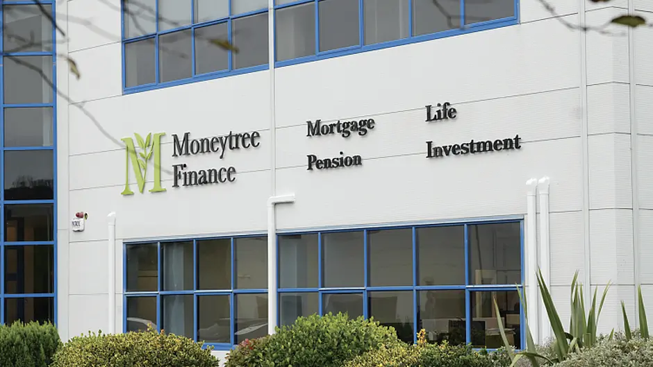 Rooted in Growth: Moneytree Finance Move to New Office in Clonakilty Image