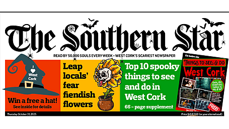 The Southern Star's spooky tales Image
