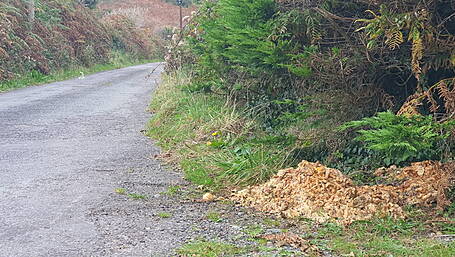More rotting food dumped near Skibbereen  Image