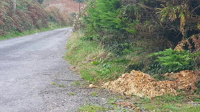 More rotting food dumped near Skibbereen  Image