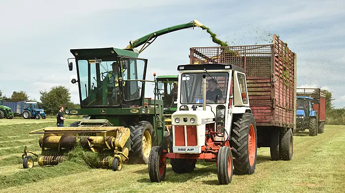 FARM CLASSICS: A Brown in any colour Image