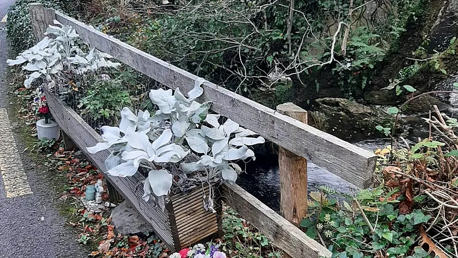 Urgent calls for Glengarriff crash barrier at site of road accident Image