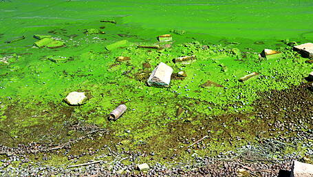 Over half of West Cork farms fail council water inspections Image