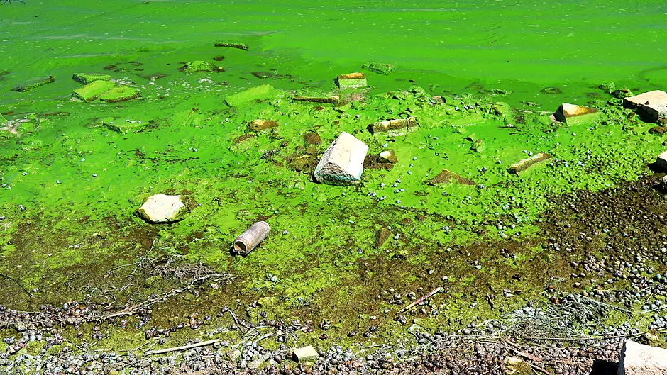 Over half of West Cork farms fail council water inspections Image