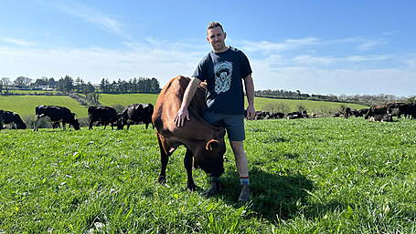 Kerry smashing carbon footprint target for milk solids at Gurteen Image