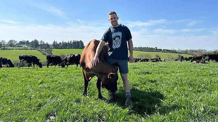 Kerry smashing carbon footprint target for milk solids at Gurteen Image