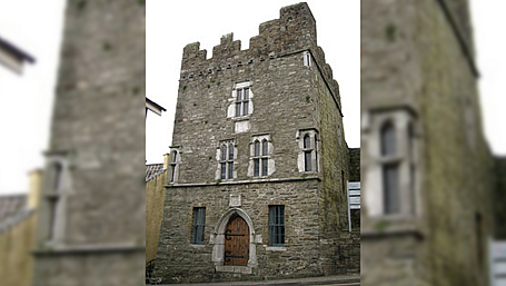 OPW’s Desmond Castle plans in ‘early stages’ Image
