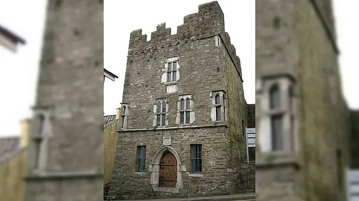 OPW’s Desmond Castle plans in ‘early stages’ Image