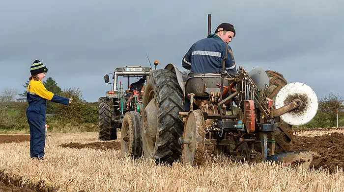Strong support at Cahermore Ploughing Image