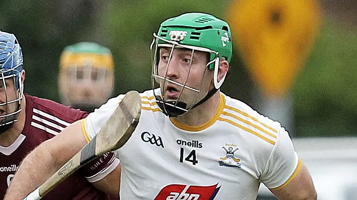 Bandon hurlers have to play the waiting game Image