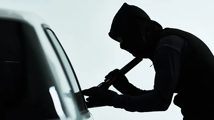 Gardaí appeal for help after wave of thefts hit Skibbereen area Image