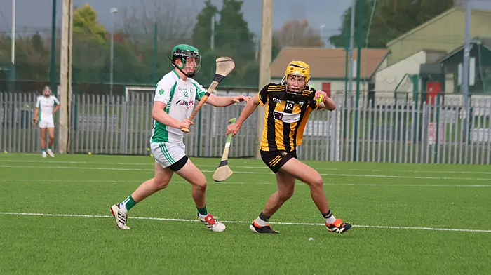 Kilbrittain minors fall to Passage West in county final Image