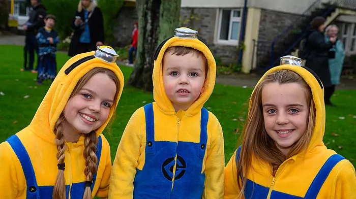 Arwyn, Luca, and Harper Ryan from Kinsale at the Halloween parade during the An Tulca Festival. (Photo: John Allen)