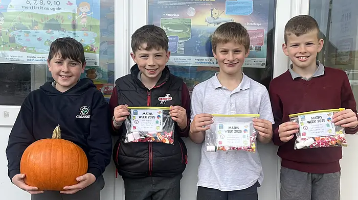Jamie Ward, Joe Mulhall, Jack Moynihan and Eoin Barrett were the Maths Week prize winners at Dromore National School.