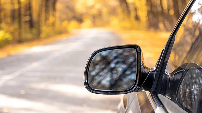 Schoolgirl ‘almost swept away by car mirror’ warns Cllr Image