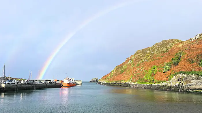 Reader’s Picture of the Week Image