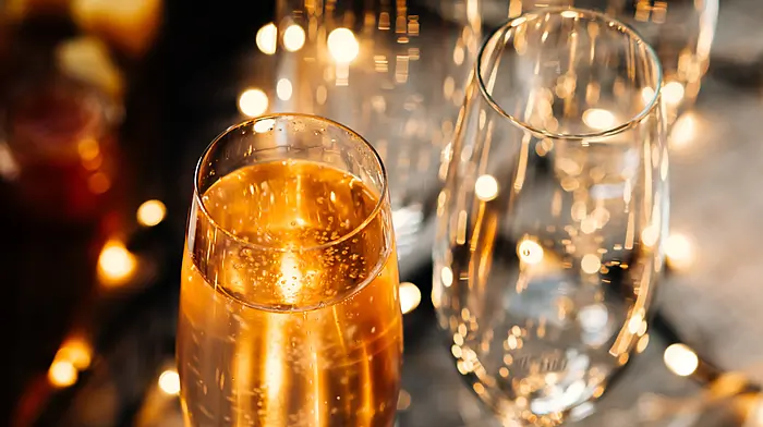 Bantry Hospice fundraising gala Image