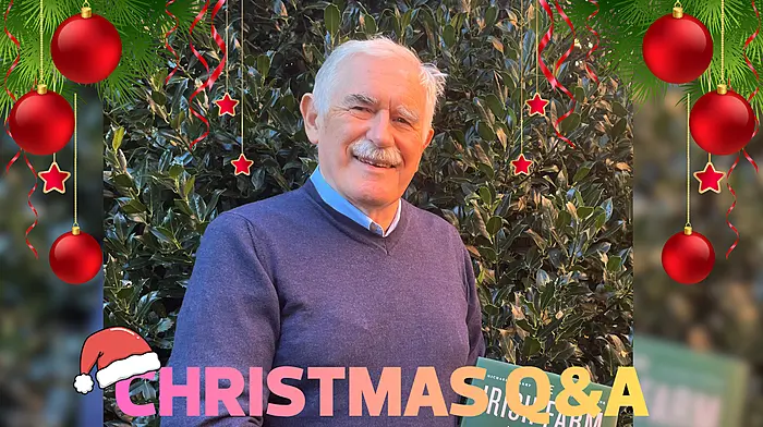 Christmas Q&A with Michael Barry Image