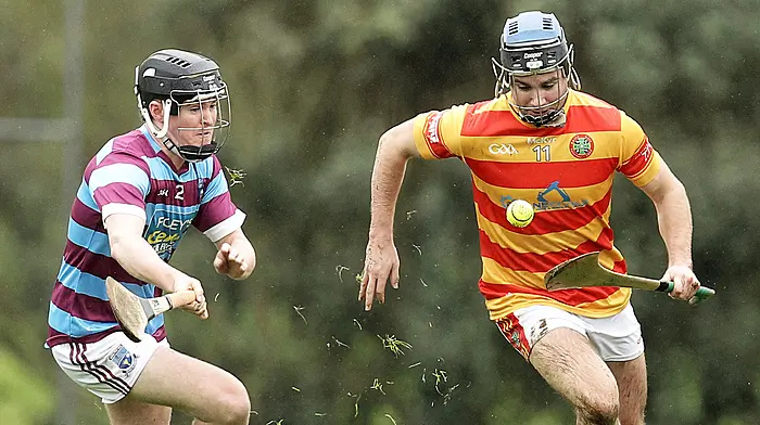 Newcestown withstand late Ibane Gaels rally Image