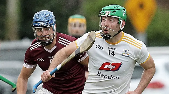 Final fever hits West Cork in crunch ties Image