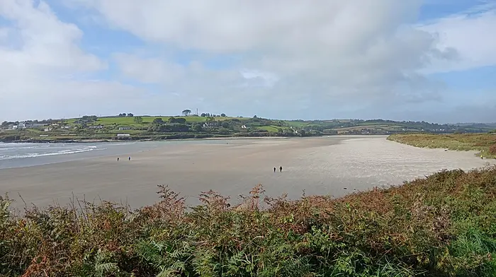 Swim beaches get €10,000 each Image