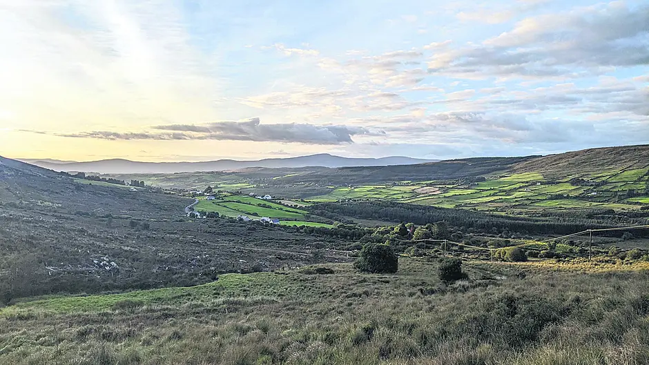 Bantry estates need a footpath Image