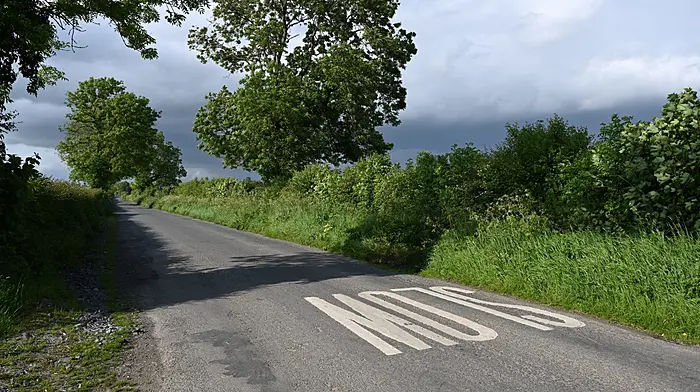 Councillors to lobby TII over ‘dangerous’ speed limits Image