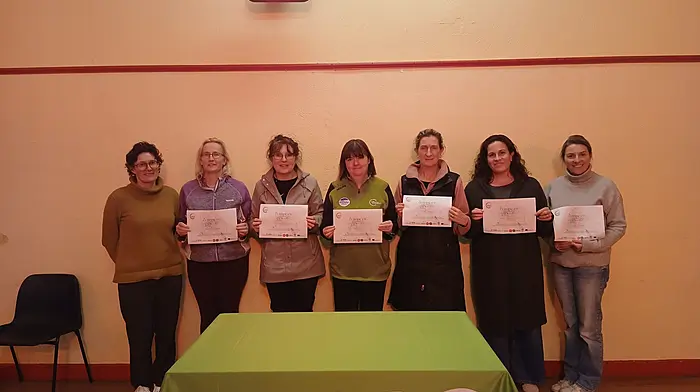 Abi O’Callaghan Platt (policy director, Voice Irl), Barbara Noonan, Carolyn Kirby, Mary Harrington, Denise Foley, Brid Coomey and Linda Walsh.